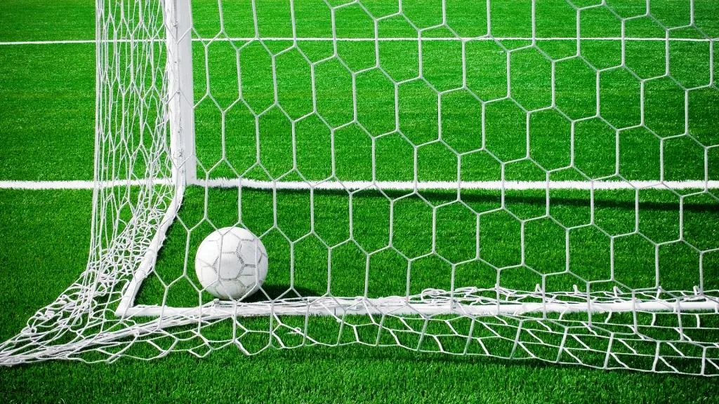 VIDÉO. Mondial 2018 : Algérie-Nigeria, les buts du match