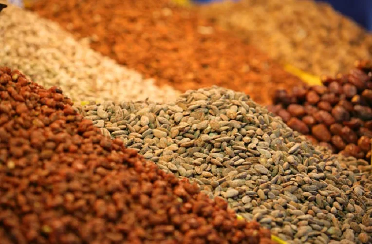 VIDÉO. L’Algérie importe près de 100 millions de dollars de fruits secs