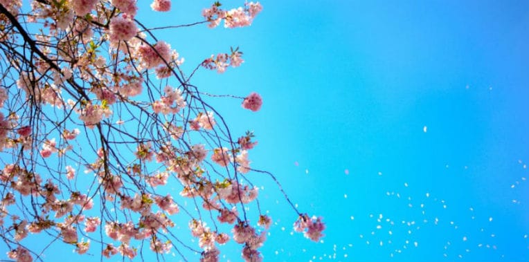 Les prévisions météo du 11 avril