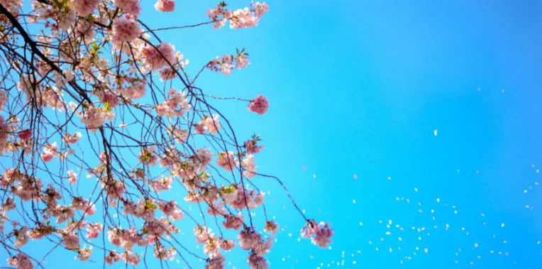 VIDÉO. Les prévisions météo du 6 avril