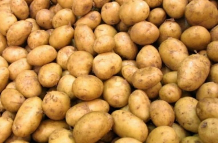Pomme de terre : les raisons de la colère des agriculteurs