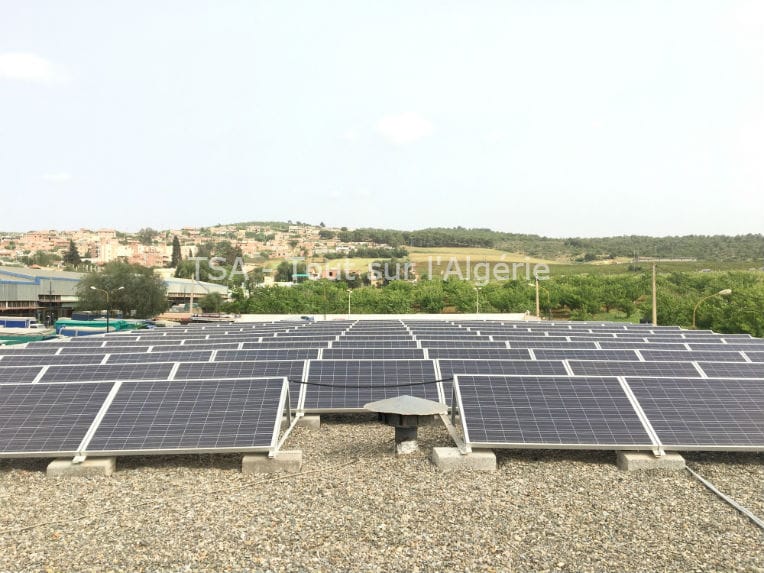 Dans le premier marché de gros d’Algérie, doté d’un système solaire intelligent