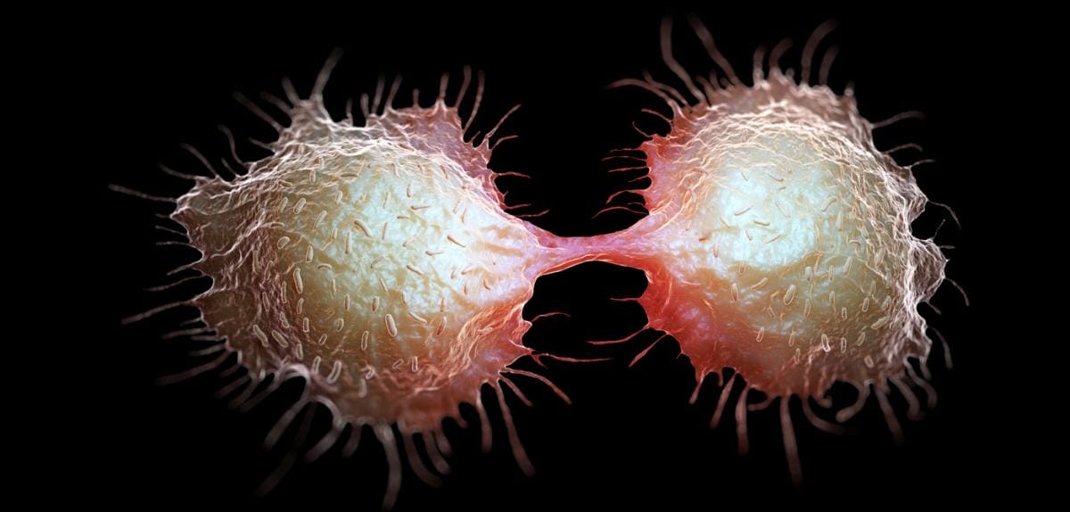 Lutte contre le cancer : une technique prometteuse dévoilée en Suisse