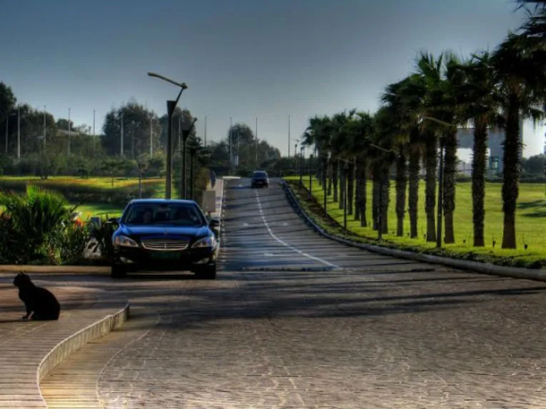 Commission d’enquête parlementaire sur le Club des pins : le RCD explique les motifs