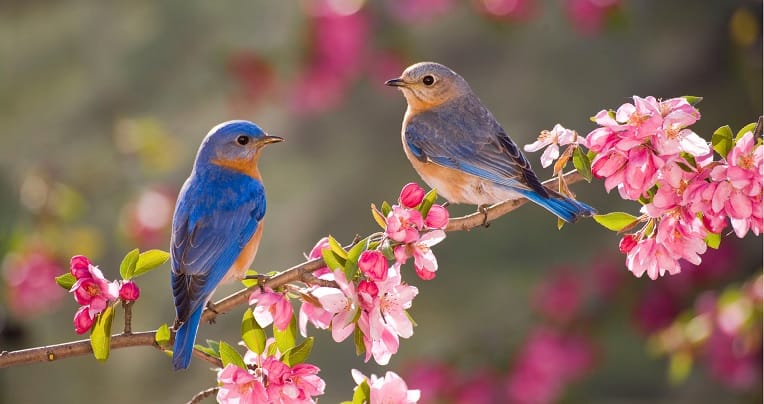 VIDÉO. Les prévisions météo du 21 septembre