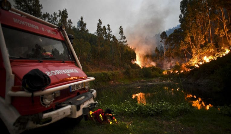 VIDÉO. Portugal : au moins 57 morts dans un feu de forêt