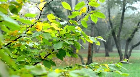 Les prévisions météo du vendredi 16 juin