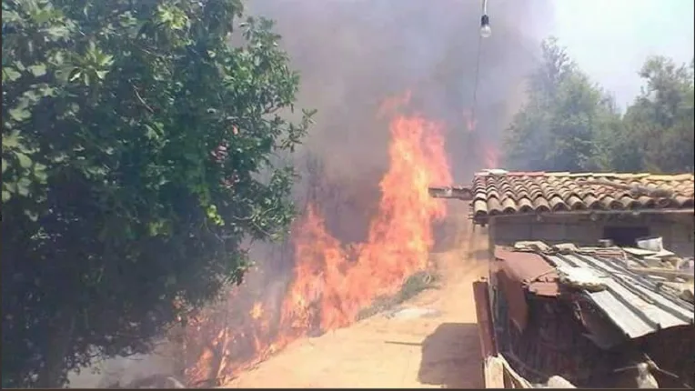 Incendies :  le FFS dénonce l’incapacité des pouvoirs publics