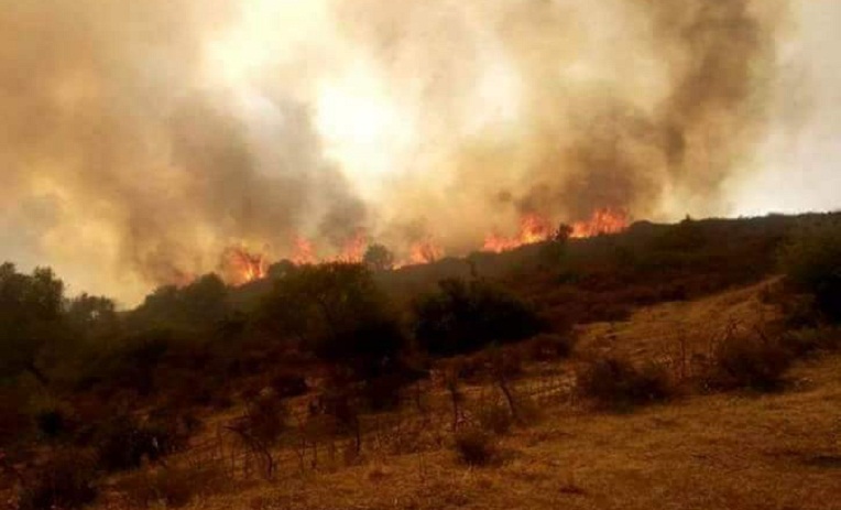 Incendies en Algérie : le point sur la situation – Photos