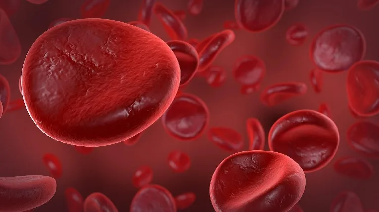 L&rsquo;immunothérapie, un espoir contre la leucémie