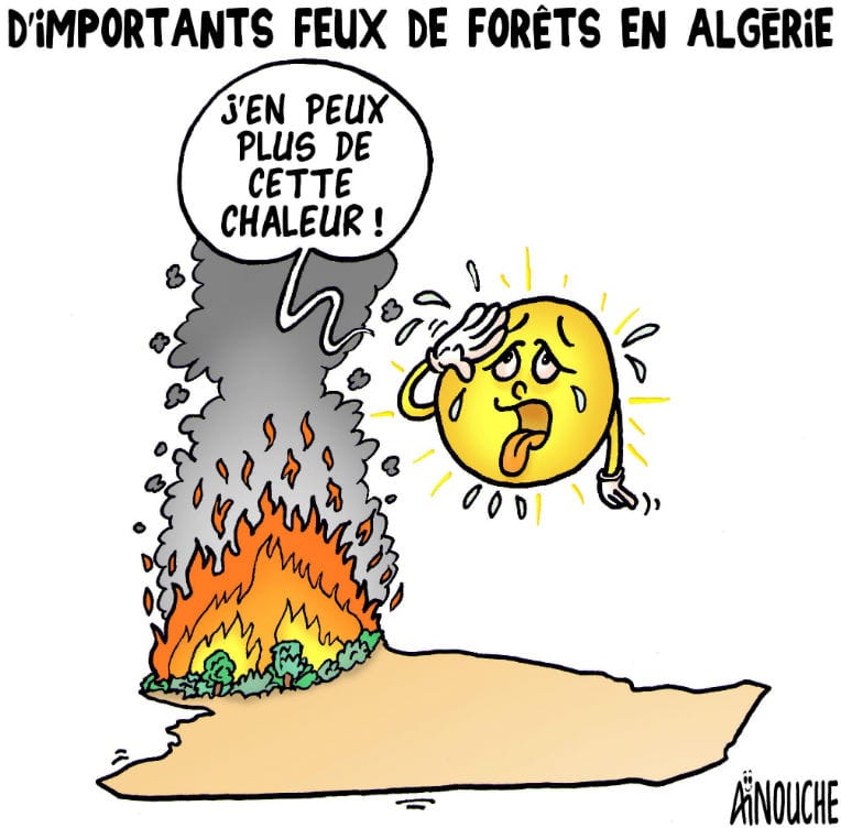 Feux de forêts en Algérie