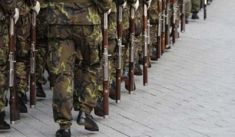 Appel à l’Armée et article 102 : manœuvre et diversion