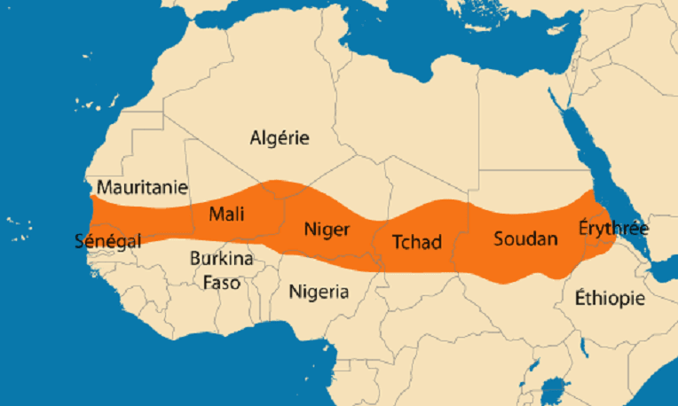 La diplomatie algérienne face au jeu trouble de Paris dans le Sahel