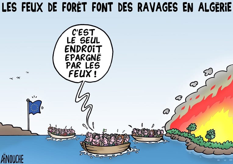 Les feux de forêt font des ravages en Algérie