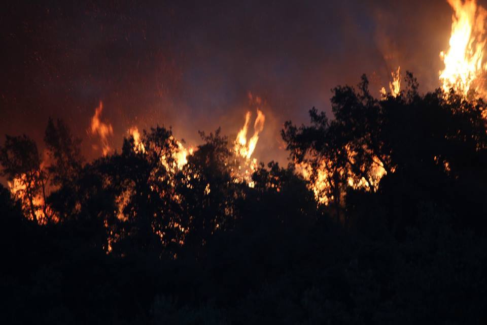 Feux de forêt : près de 54.000 hectares partis en fumée en 2017