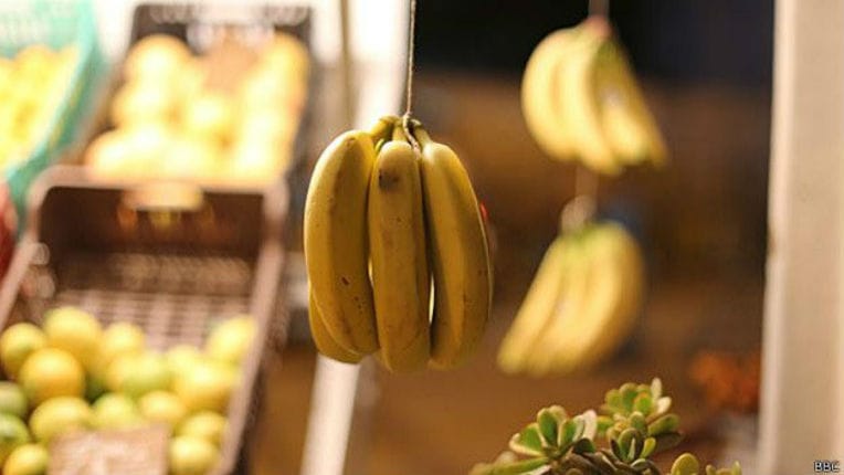 Engouement pour la culture de la banane en Algérie