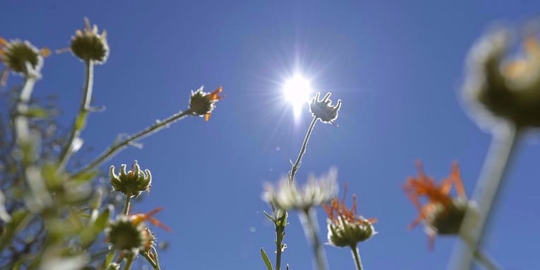 VIDÉO. Les prévisions météo du jeudi 16 août