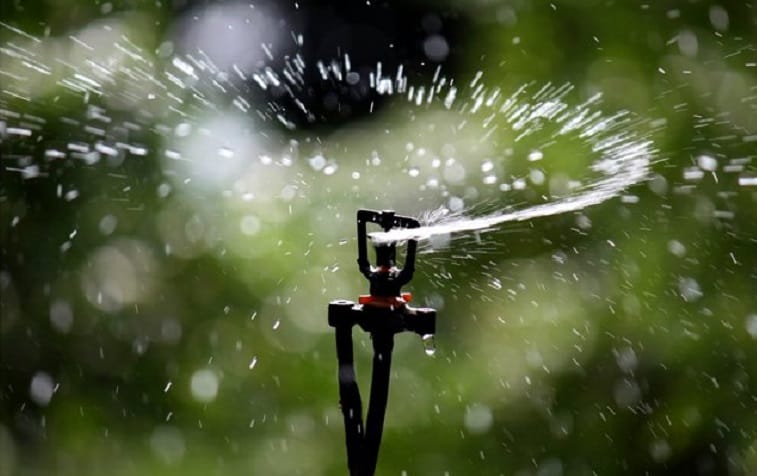 La cherté des fruits et légumes révèle la fragilité du modèle agricole algérien