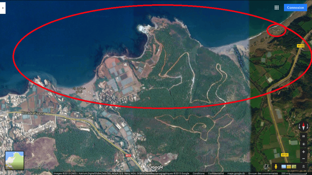 Grand port du centre près d’Alger : le projet sera « réexaminé »