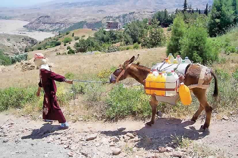 Maroc : la pauvreté baisse mais reste ancrée en milieu rural - TSA