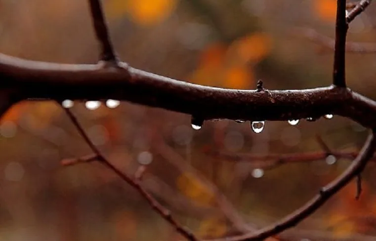 VIDÉO. Les prévisions météo du 20 octobre