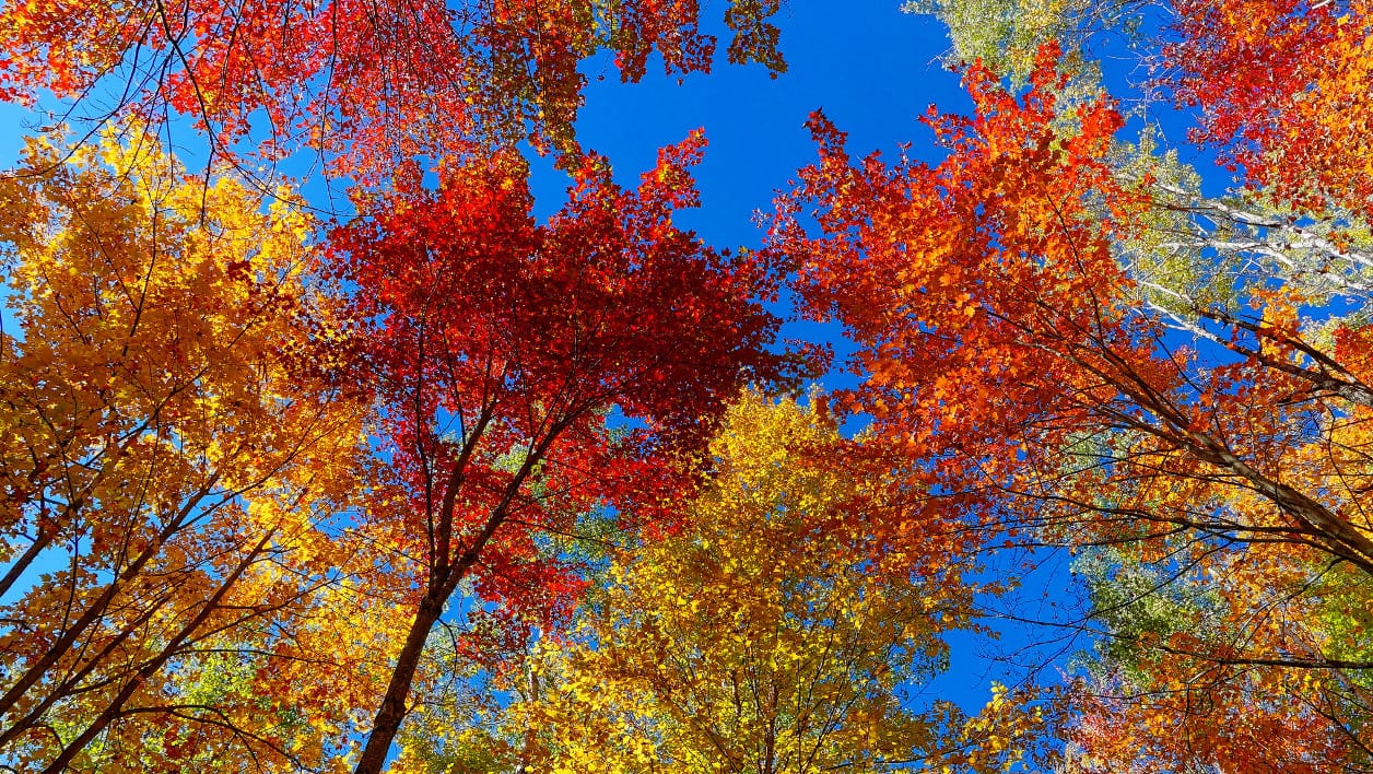 VIDÉO. Les prévisions météo du jeudi 23 novembre