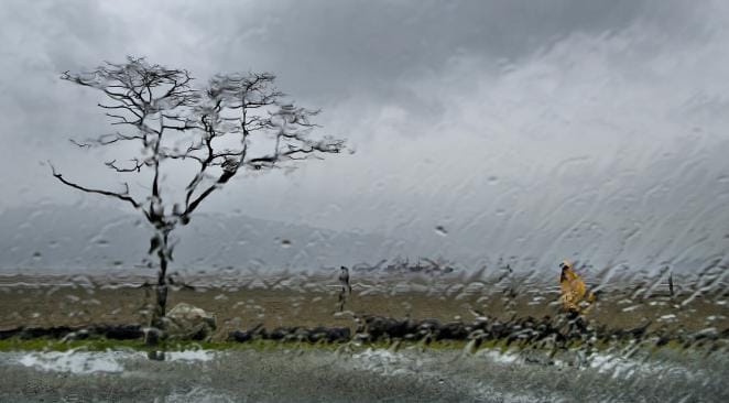 Alerte météo : pluies orageuses sur 5 wilayas