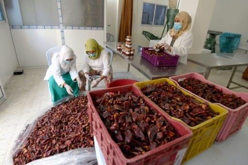 En Tunisie, une harissa traditionnelle donne des ailes à des agricultrices