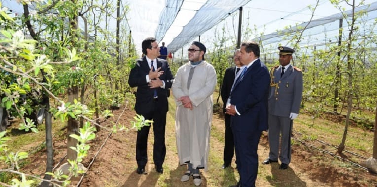 Maroc : parfum de scandale dans une ferme royale