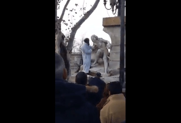 VIDÉO. La statue de Ain el Fouara vandalisée