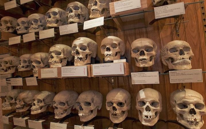 Crânes de résistants algériens : Ali Farid Belkadi, l’historien qui a révélé l’affaire, raconte