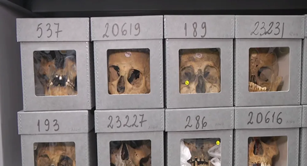 Quelle(s) histoire(s) derrière les crânes de résistants algériens détenus en France ?