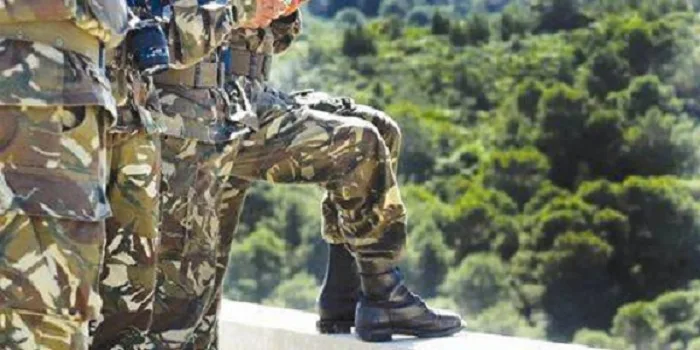 Des munitions et des plaques photovoltaïques retrouvées dans une casemate à Skikda