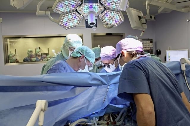 Don croisé, registre de refus : ce que prévoit le projet de loi sur la santé pour les dons d’organes