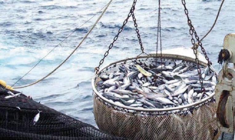 URGENT. Pour l&rsquo;avocat général de la CJUE, l&rsquo;accord de pêche Maroc – UE est invalide