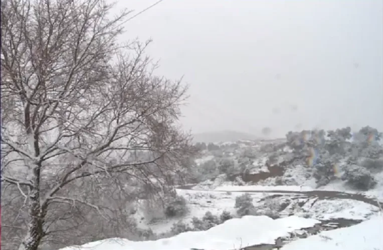 VIDÉOS. Neige et mauvais temps : plusieurs routes coupées à la circulation