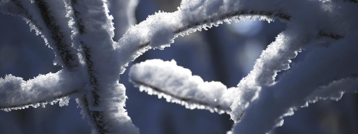 Une violente vague de froid s’abat sur l’Europe, des dizaines de morts (Vidéos)