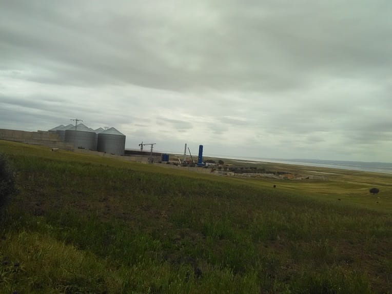 Polémique autour du projet Peugeot à Oran : à El Hamoul, les habitants sont partagés