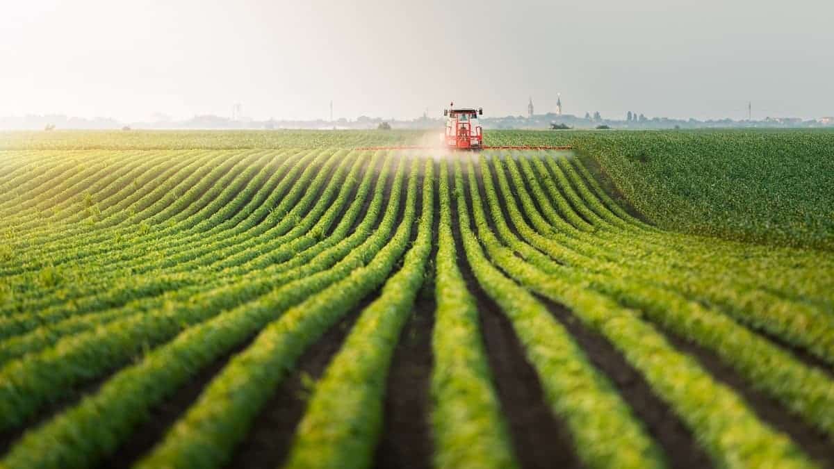 Agriculture bio et labellisation : l’Algérie prépare ses futures normes avec l’UE