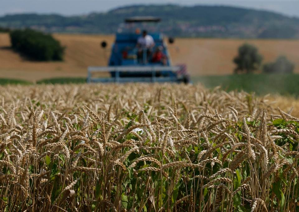 Exclusif – PLFC 2018 : les concessions agricoles ouvertes aux étrangers