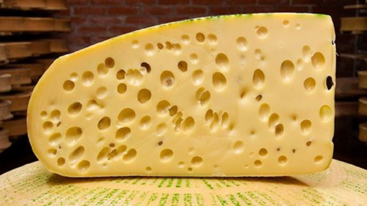 Santé : un fromage pour soigner l’intestin bientôt dans nos rayons ?