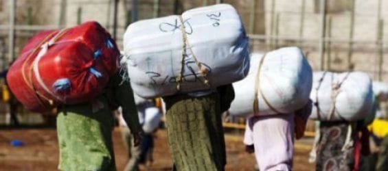 Entre le Maroc et Ceuta, le fardeau un peu moins lourd des « femmes-mulets »