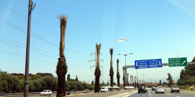 Le ministre ordonne l’entretien de la rocade autoroutière de Zeralda