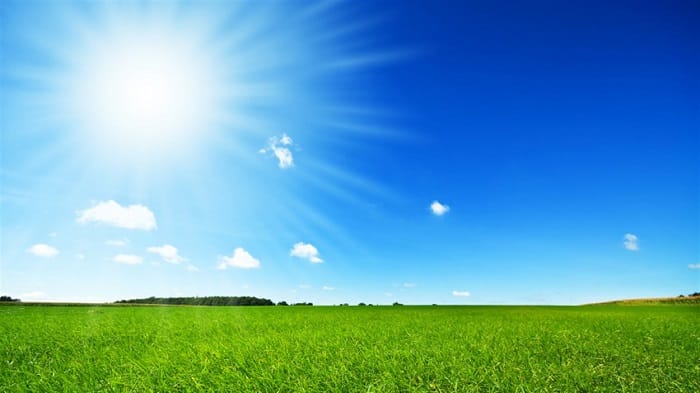 VIDÉO. Les prévisions météo du mercredi 11 juillet