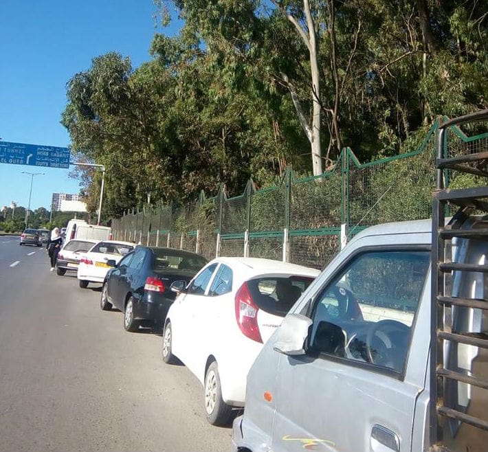 Danger de mort au nouveau jardin de Ben Aknoun à Alger