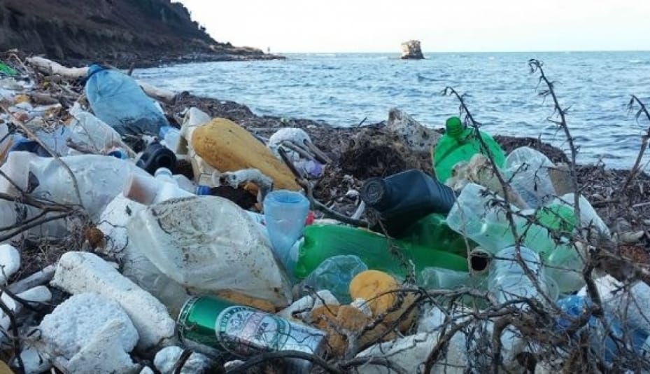 Le WWF mobilise pour sauver la Méditerranée du plastique
