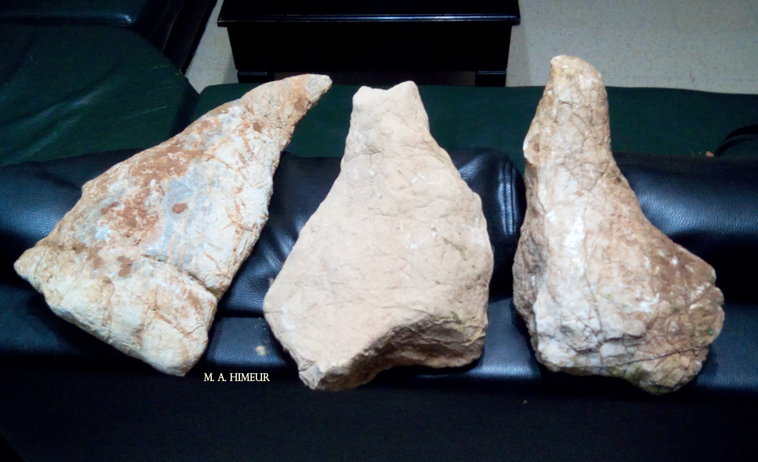Tizi Ouzou : découverte d’un gisement fossilifère à Ouacif ?