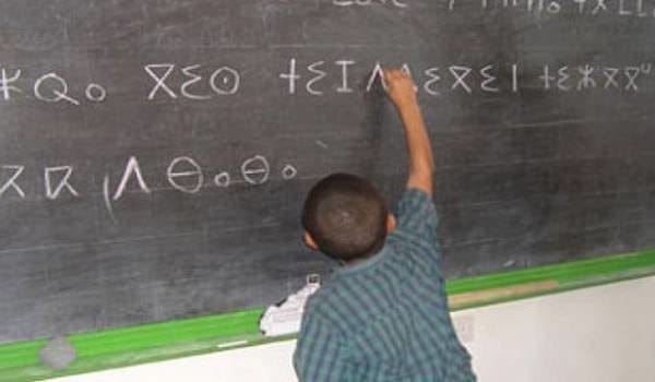 Ce que contient le projet de loi sur l’Académie algérienne de la langue amazighe