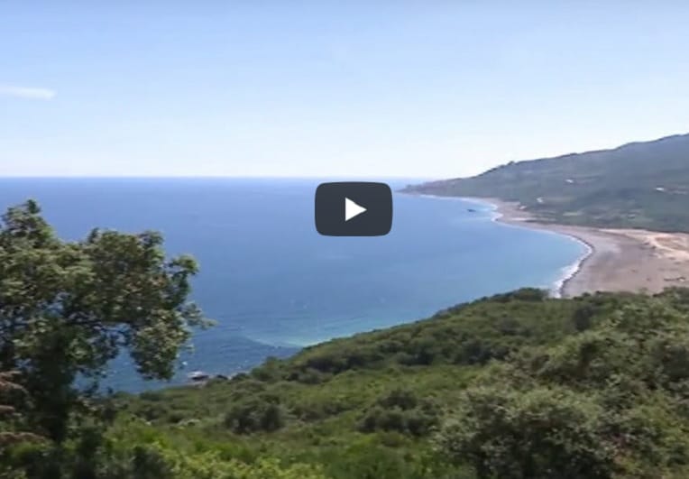 VIDÉO. Bejaia : la magnifique plage Ouadas restituée aux estivants