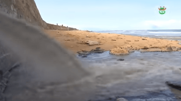 VIDÉO. Découvrez l’état lamentable des plages de Bousmail à Tipaza